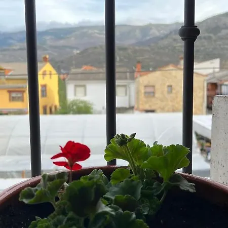 Hotel Alma Rosa 3*