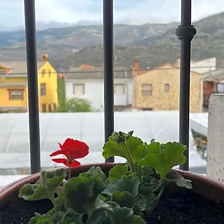 Alma Rosa Hotel 3*